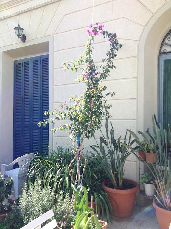 Casa Fornaciari Bed & Breakfast Viareggio Bagian luar foto